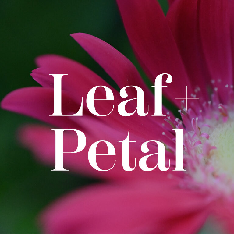 square-leaf-and-petal3