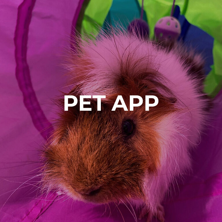 square-pet-app2